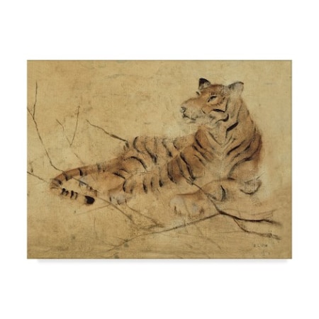Cheri Blum 'Global Tiger Light Crop' Canvas Art,35x47